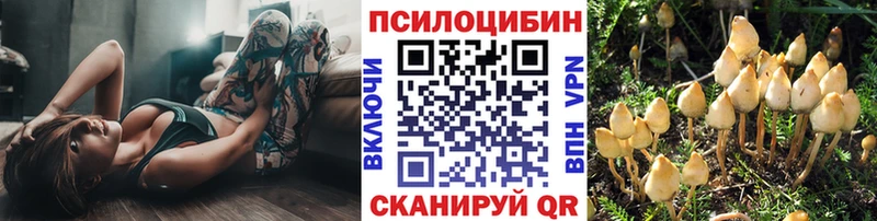 hydra зеркало  даркнет наркотические препараты  Псилоцибиновые грибы Psilocybine cubensis  Кудрово 